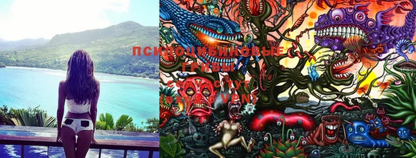 прущая мука Барнаул