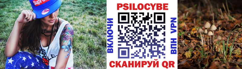 Галлюциногенные грибы мухоморы  Купить  Кузнецк 